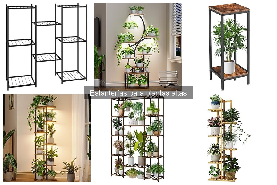 Mejores estanterías para plantas altas en espacios pequeños