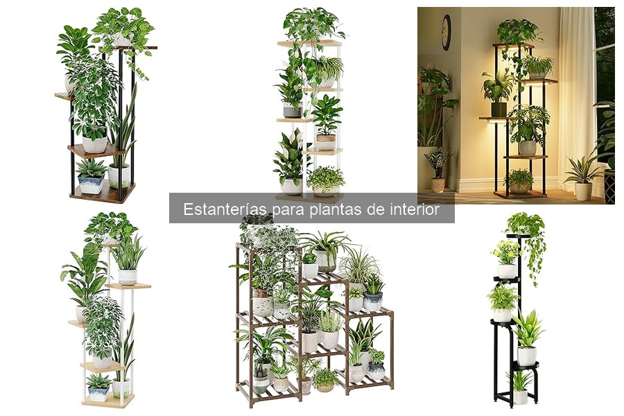 Mejores estanterías para plantas de interior 2023: Comparativa