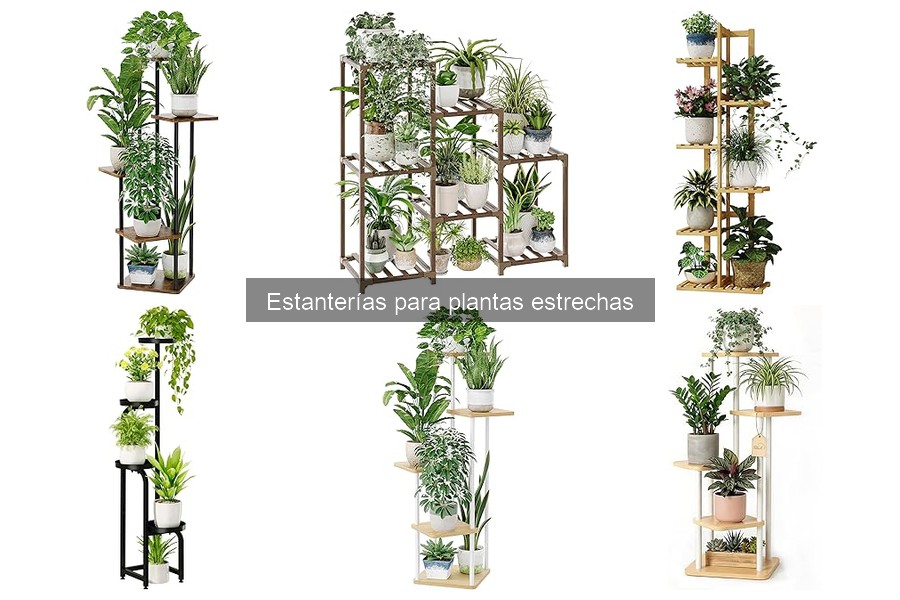 Mejores estanterías para plantas estrechas: Top opciones 2023