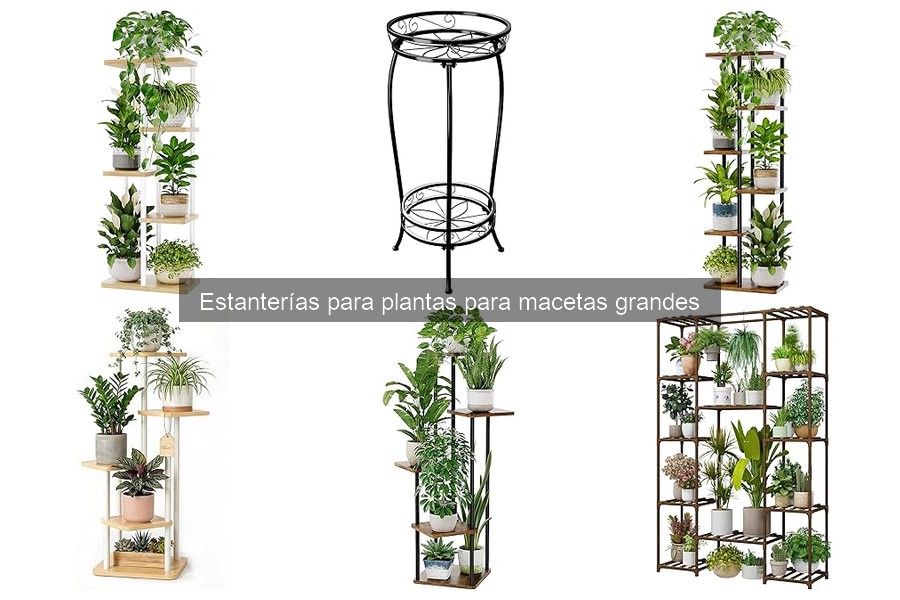 Mejores estanterías para plantas grandes en 2023
