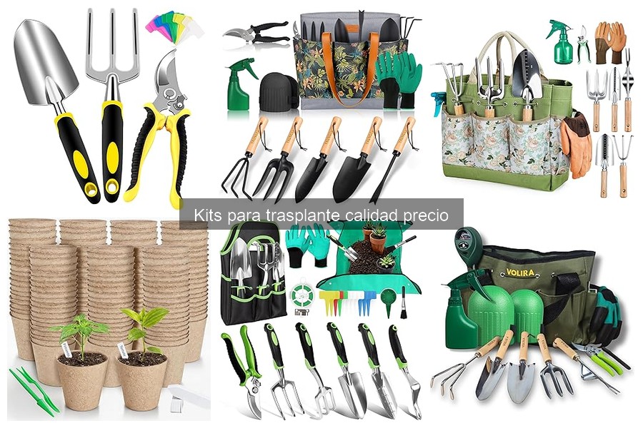 Mejores kits de trasplante calidad-precio para jardinería