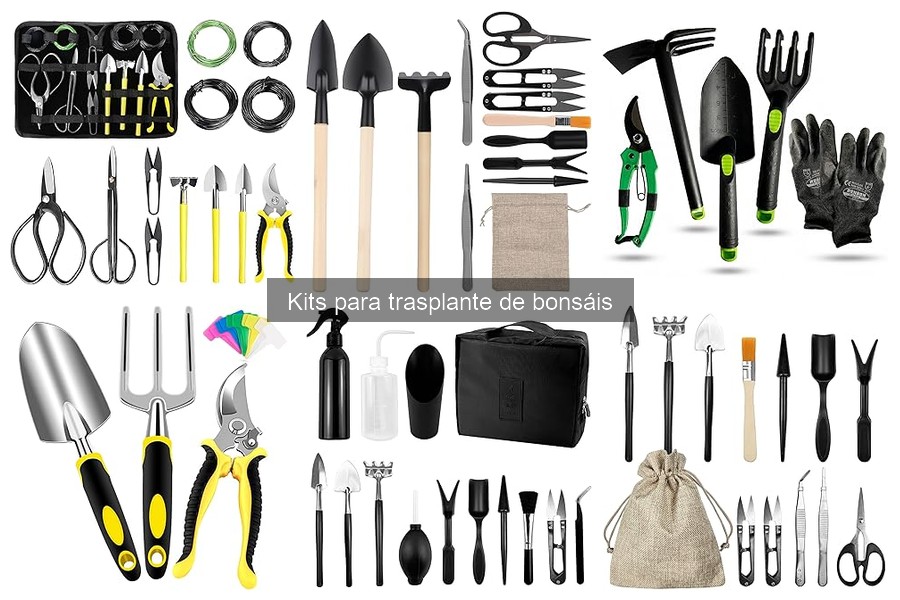 Mejores kits de trasplante de bonsáis para principiantes