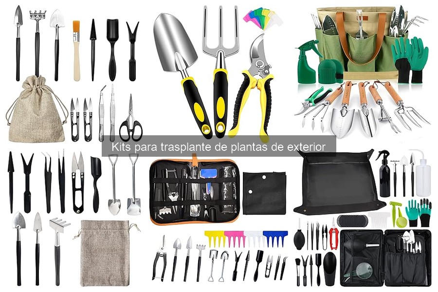 Mejores kits de trasplante para plantas de exterior 2023