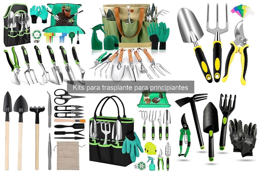 Mejores kits de trasplante para principiantes en jardinería