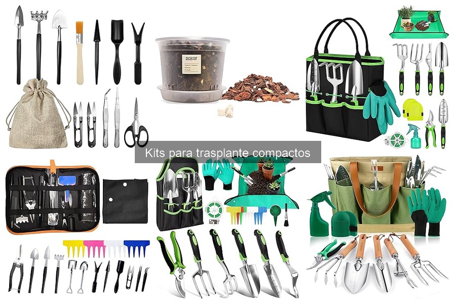 Mejores kits para trasplante compacto en 2023: comparativa