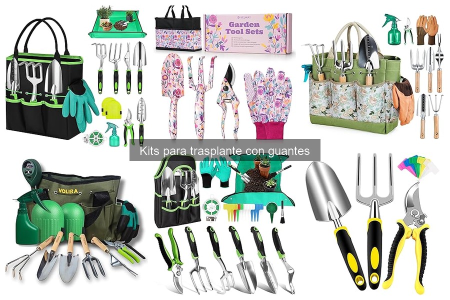 Mejores kits para trasplante con guantes para principiantes