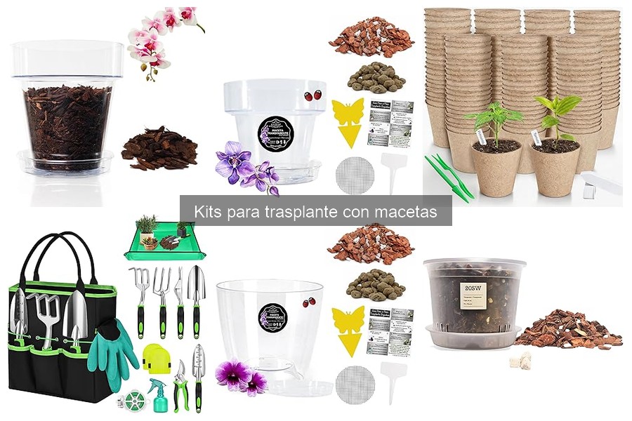 Mejores kits para trasplante de 2023: comparativa completa