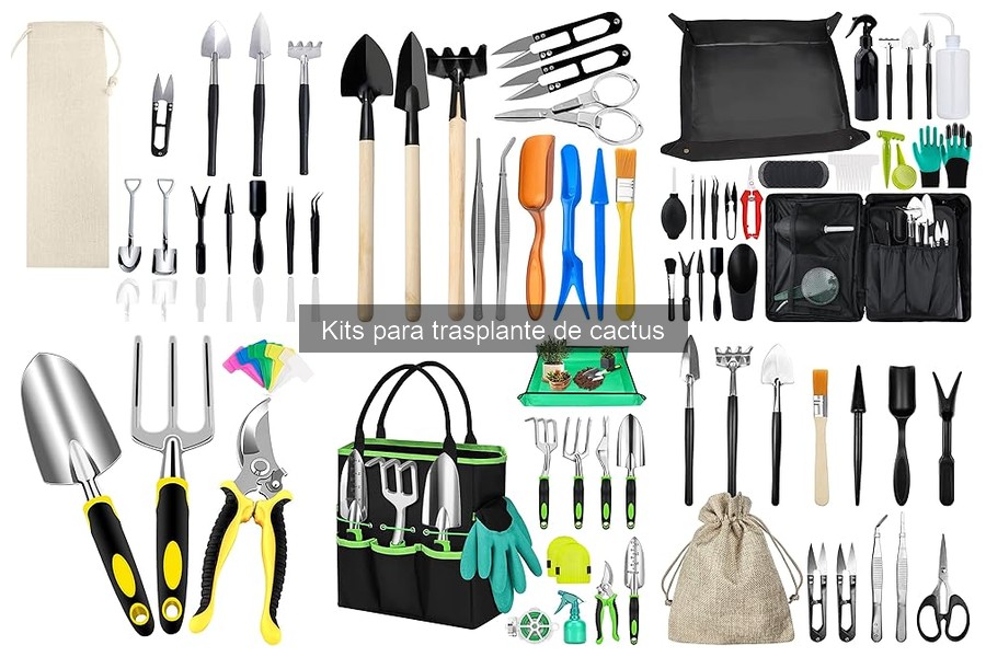 Mejores kits para trasplante de cactus: comparativa 2023