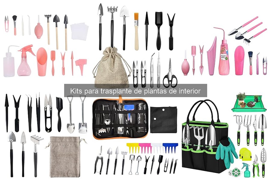 Mejores kits para trasplante de plantas de interior 2023
