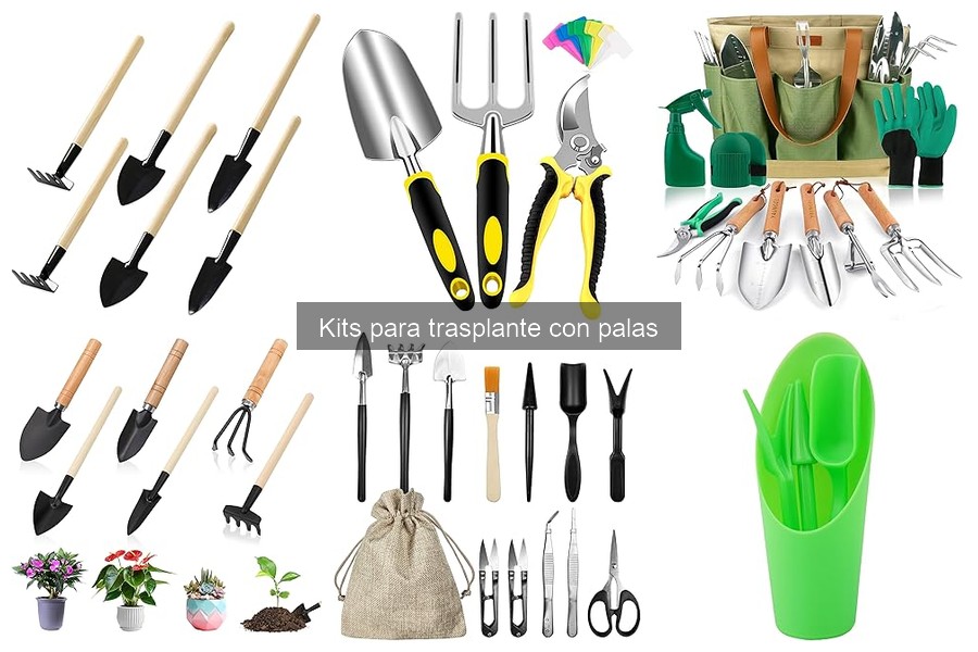 Mejores kits para trasplante en suculentas y orquídeas
