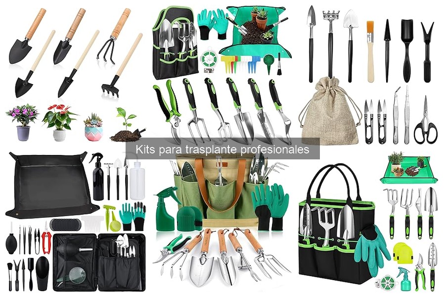 Mejores kits para trasplante profesional en 2023