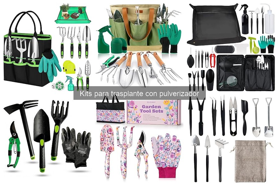 Mejores lugares para comprar kits de trasplante con pulverizador