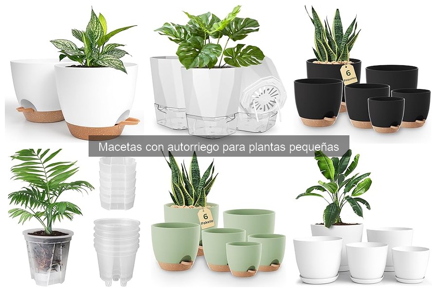 Mejores lugares para comprar macetas con autorriego a buen precio