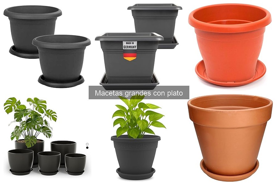 Mejores lugares para comprar macetas grandes con plato