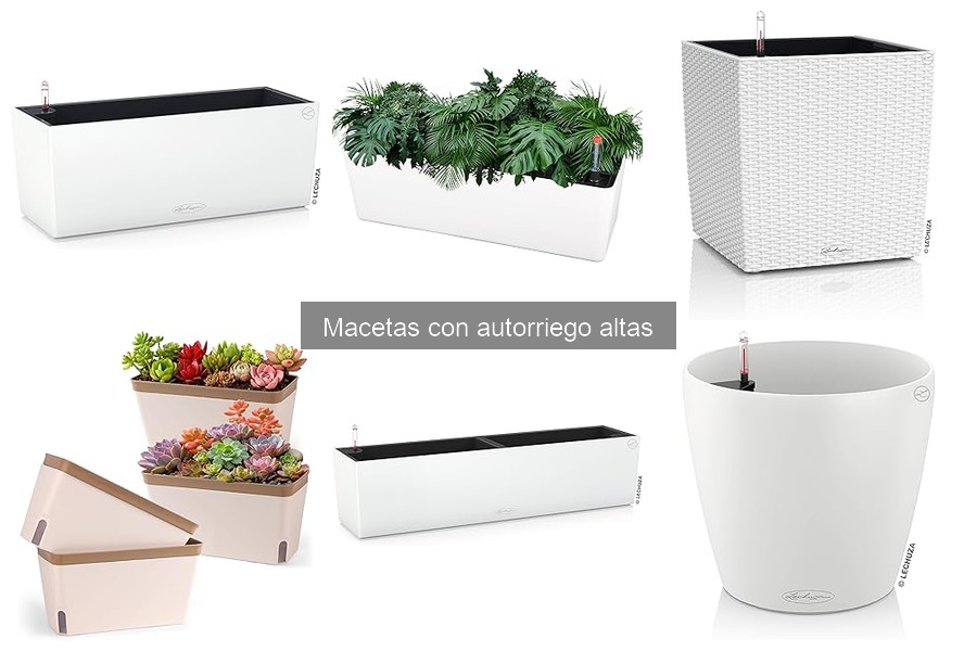 Mejores macetas con autorriego altas para apartamentos