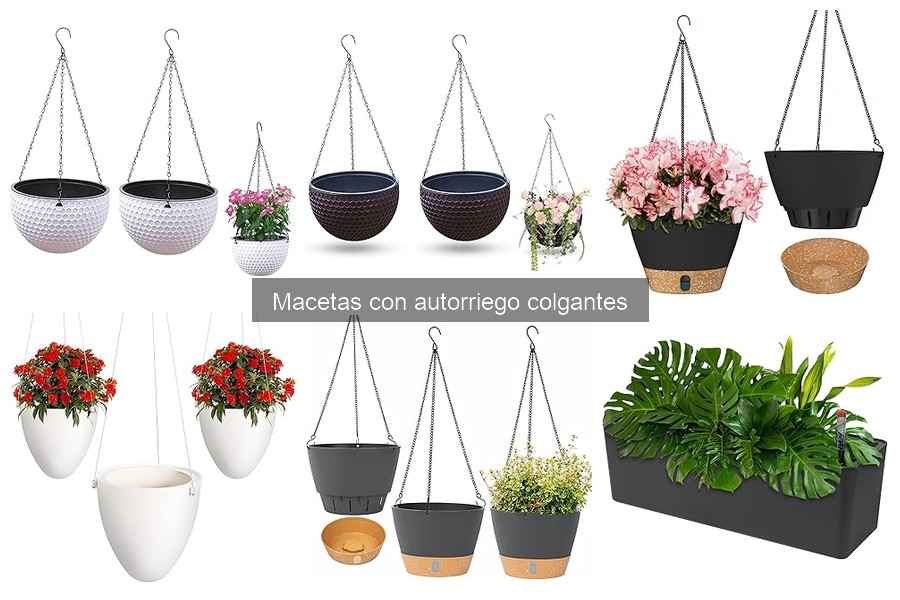 Mejores macetas con autorriego colgantes: guía de compra