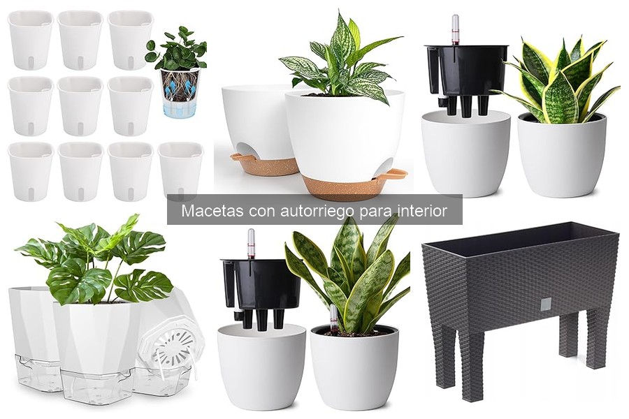 Mejores macetas con autorriego para apartamentos comparativa