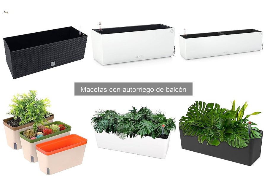 Mejores macetas con autorriego para balcones pequeños