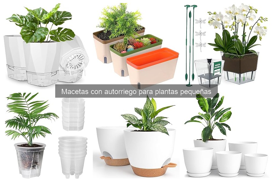 Mejores macetas con autorriego para interiores en 2023