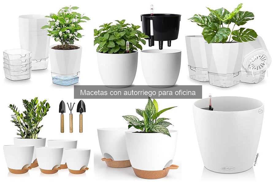 Mejores macetas con autorriego para oficina: comparativa 2023