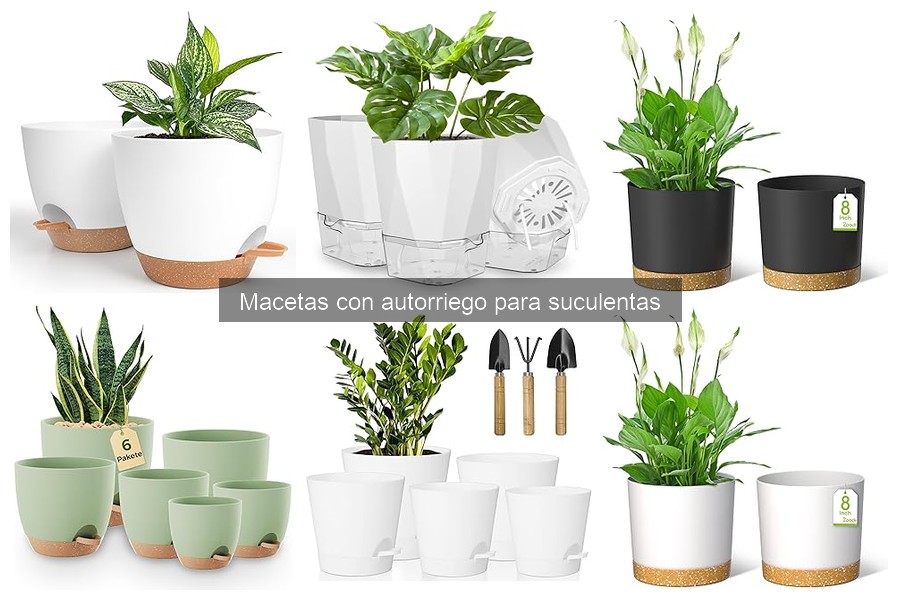 Mejores Macetas con Autorriego para Suculentas en Comparativa