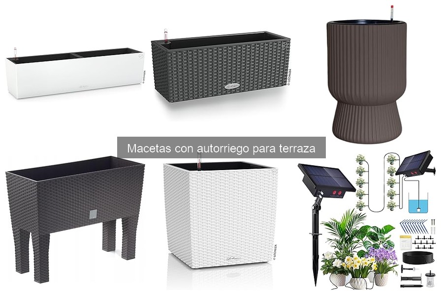 Mejores macetas con autorriego para terrazas pequeñas