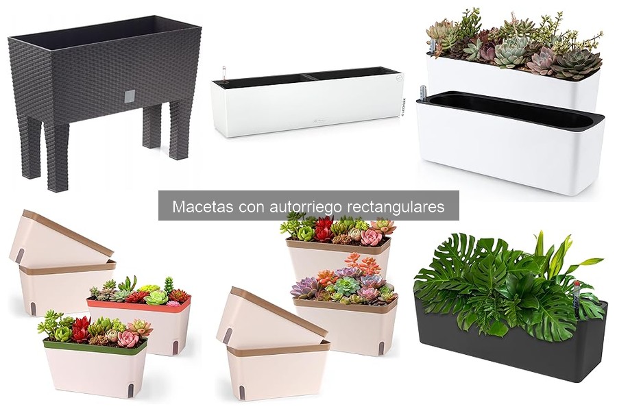 Mejores macetas con autorriego rectangulares en 2023