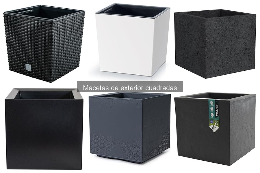 Mejores macetas cuadradas para exteriores en 2023