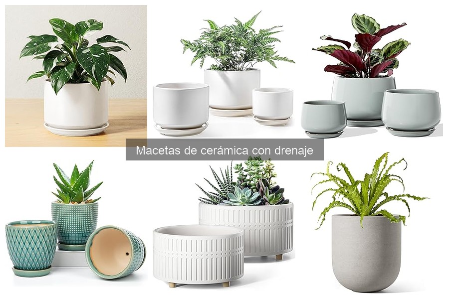 Mejores macetas de cerámica con drenaje para interiores