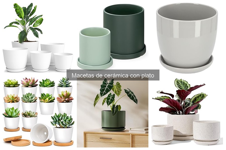 Mejores Macetas de Cerámica con Plato para Interior