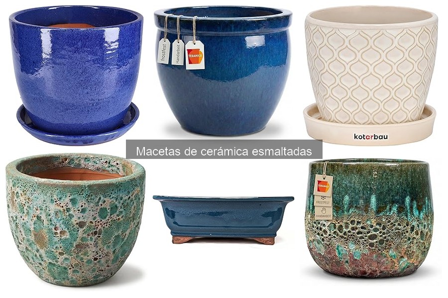 Mejores macetas de cerámica esmaltadas para interior