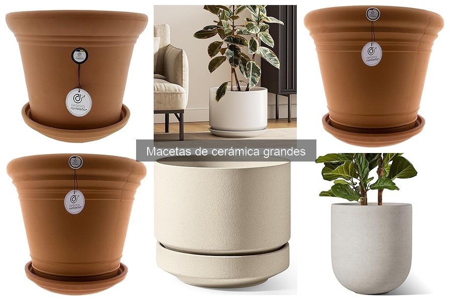 Mejores macetas de cerámica grandes para interiores