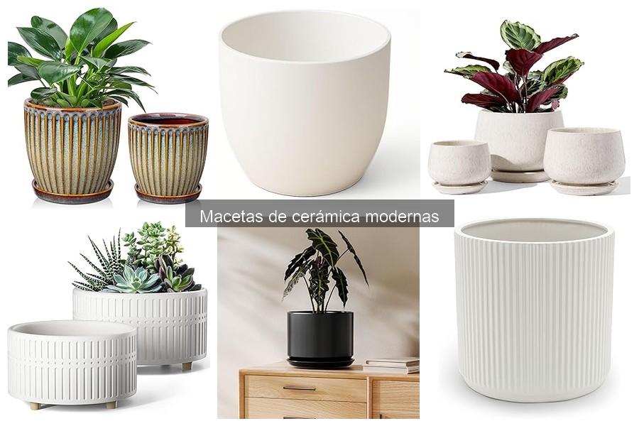 Mejores macetas de cerámica modernas para exteriores