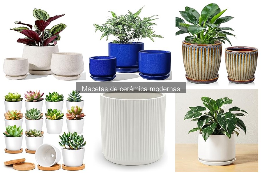 Mejores macetas de cerámica modernas para interiores 2023