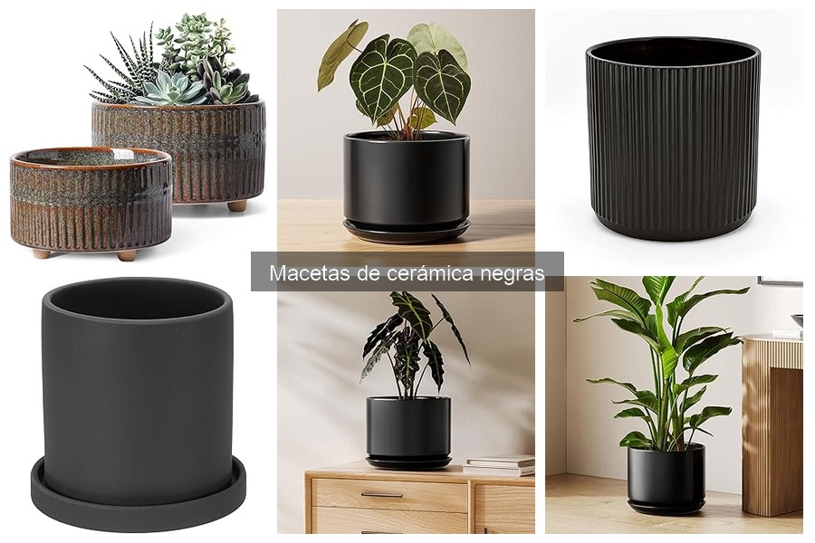 Mejores macetas de cerámica negras para exteriores