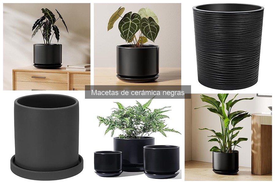 Mejores macetas de cerámica negras para interiores en 2023