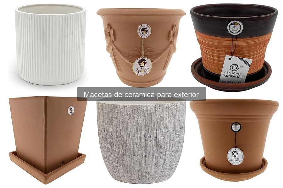 Mejores macetas de cerámica para exteriores en 2023
