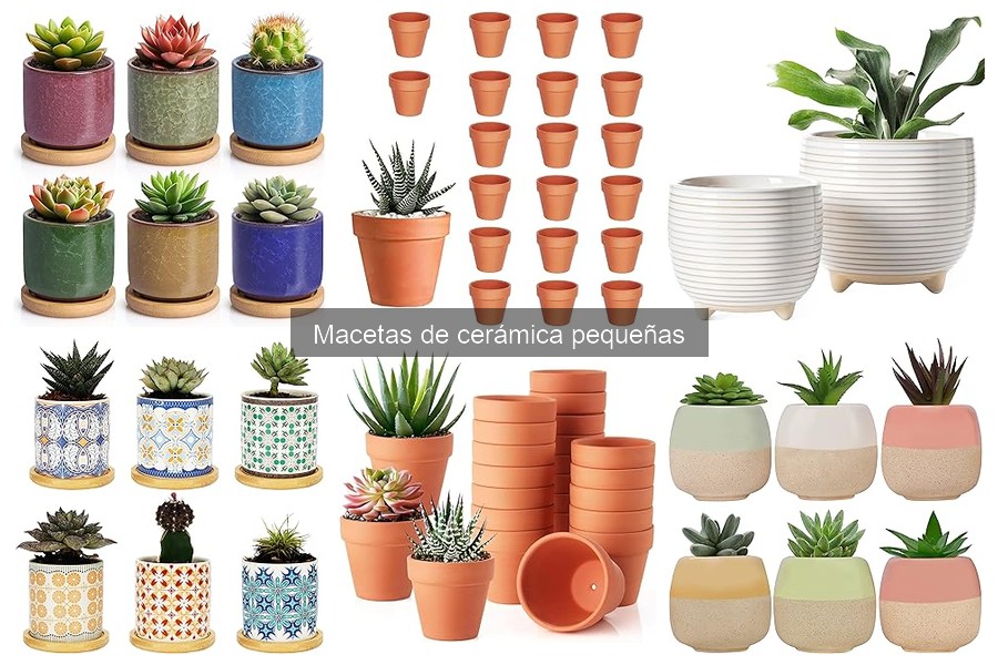 ** Mejores Macetas de Cerámica Pequeñas para Interiores