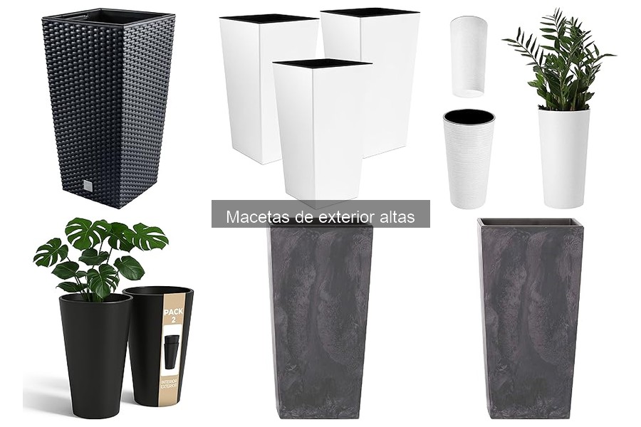 Mejores macetas de exterior altas para plantas grandes