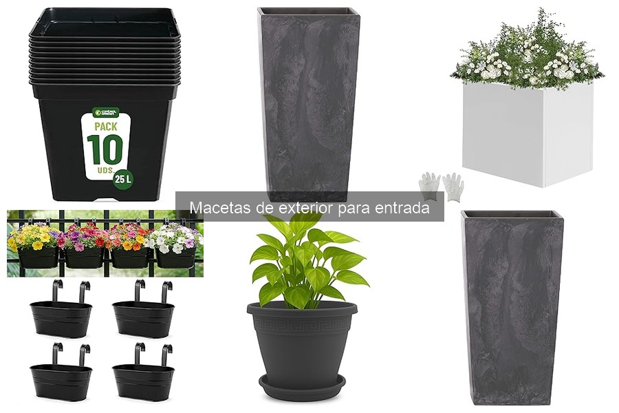 Mejores macetas de exterior para entradas pequeñas