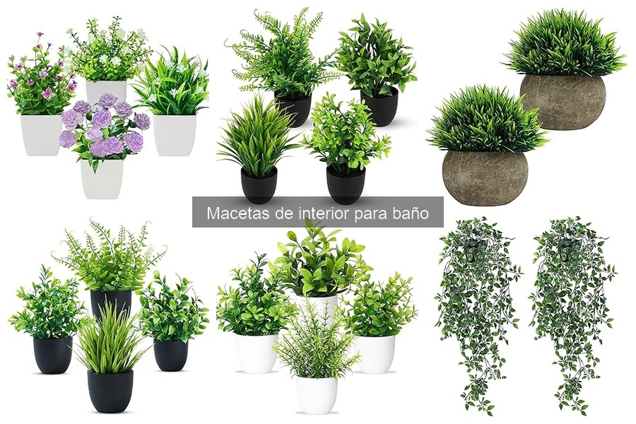 Mejores Macetas de Interior para Baño: Estilo y Funcionalidad