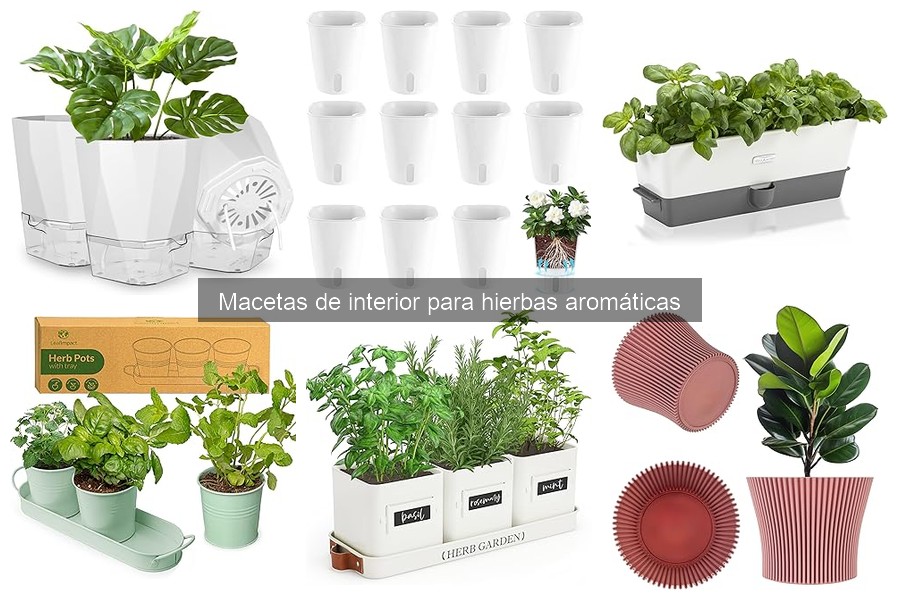 Mejores macetas de interior para cultivar hierbas aromáticas