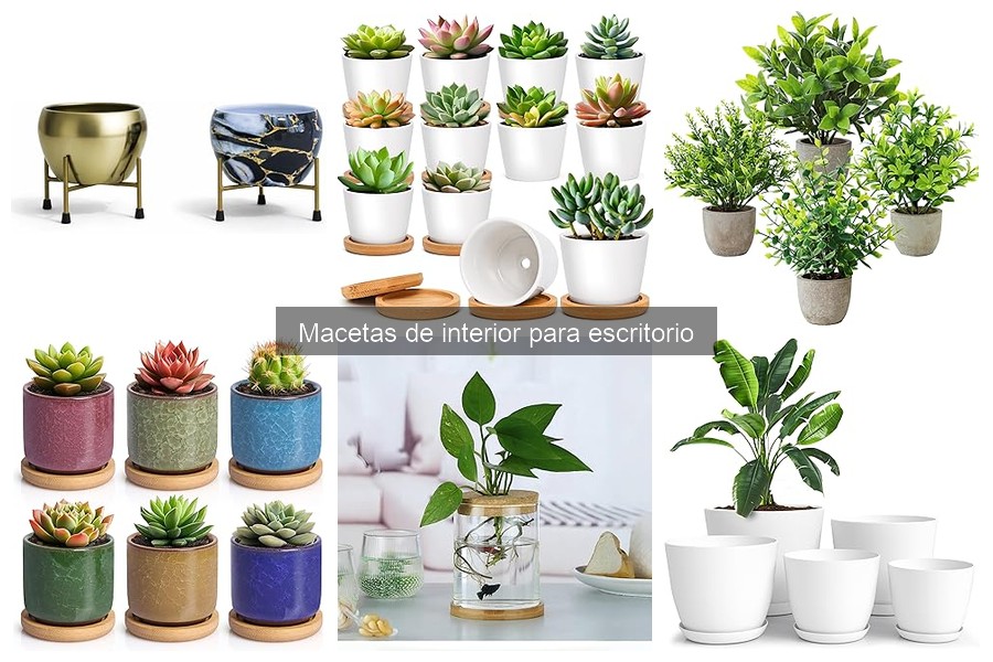 Mejores macetas de interior para escritorios: guía de compra
