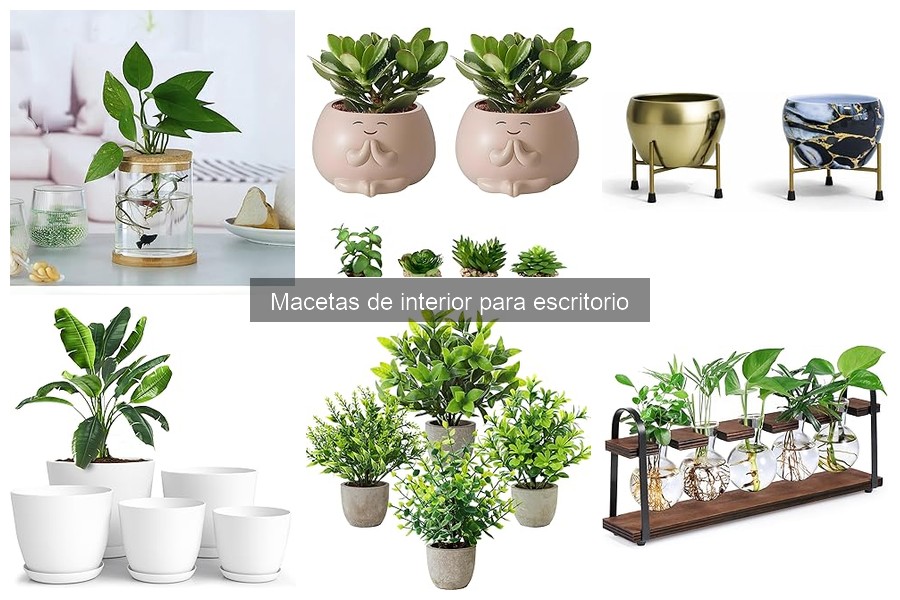 Mejores macetas de interior para escritorios: tipos y estilos