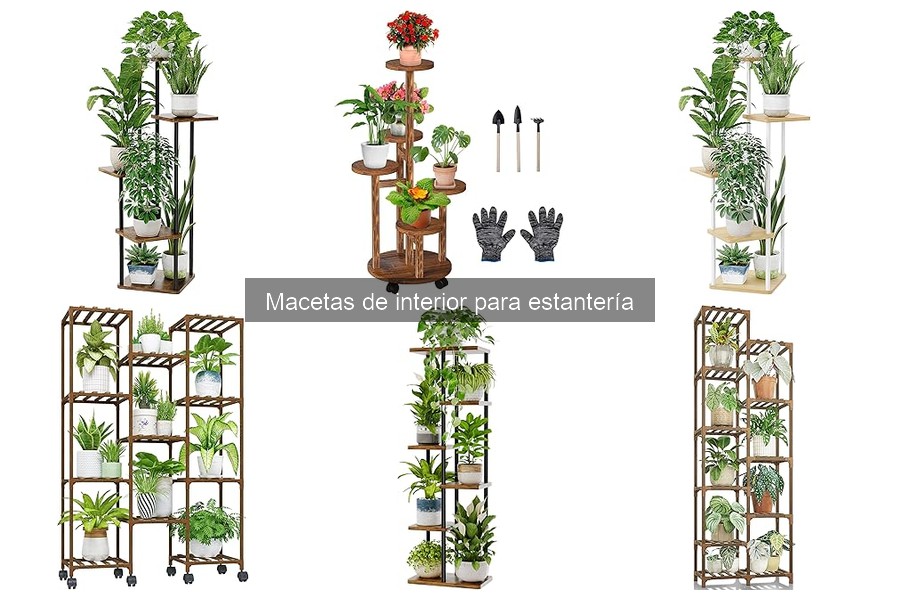 Mejores macetas de interior para estantería: guía de selección