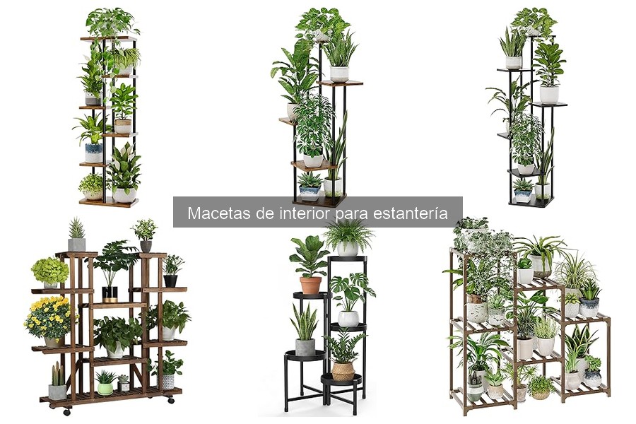 Mejores macetas de interior para estantería según opiniones