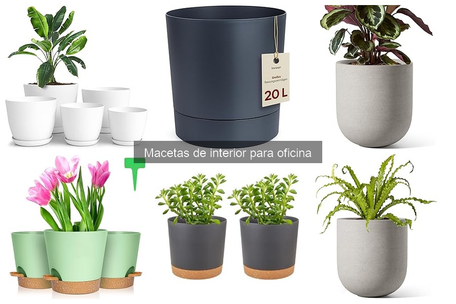 Mejores macetas de interior para oficinas pequeñas en 2023