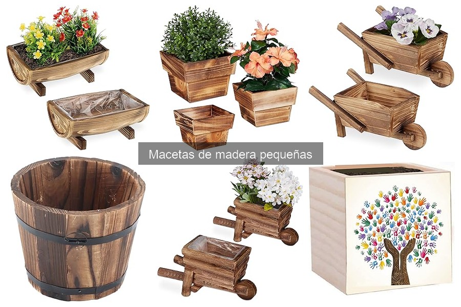 Mejores macetas de madera pequeñas para interiores en 2023