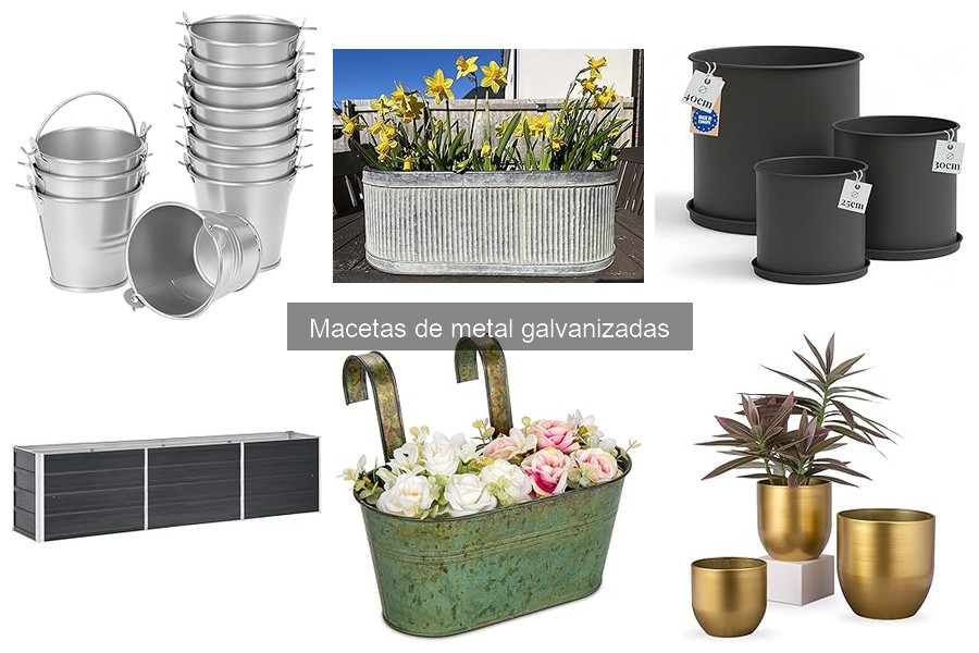 Mejores macetas de metal galvanizado para exteriores