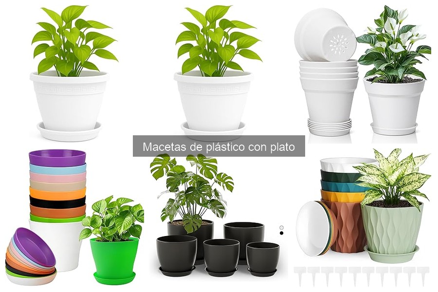 Mejores macetas de plástico con plato para interiores